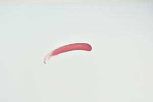 LipTricks Liquid Lipstick : The Silva